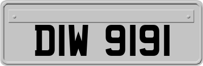 DIW9191