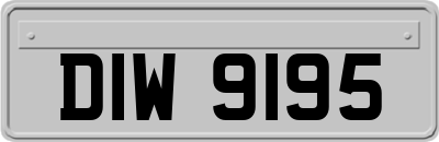 DIW9195