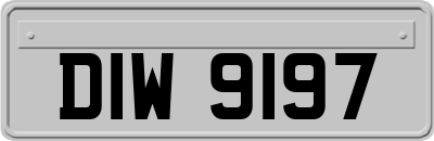 DIW9197
