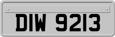 DIW9213