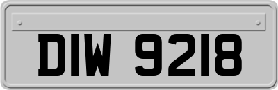 DIW9218