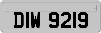 DIW9219