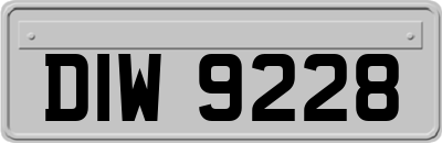 DIW9228