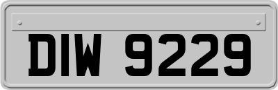 DIW9229