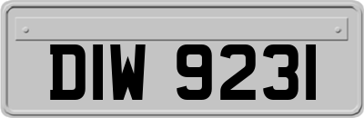 DIW9231