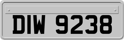 DIW9238