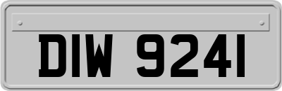 DIW9241