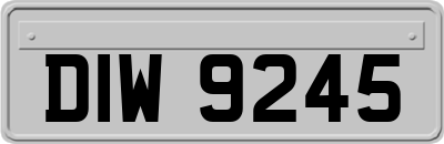 DIW9245