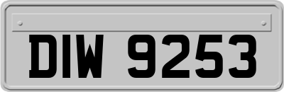 DIW9253