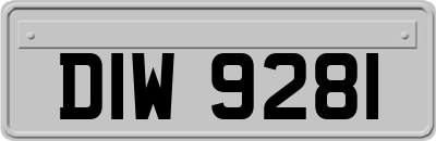 DIW9281