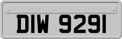 DIW9291