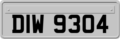 DIW9304