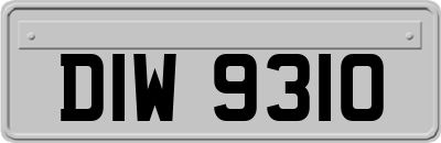 DIW9310