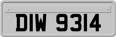 DIW9314