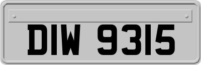 DIW9315