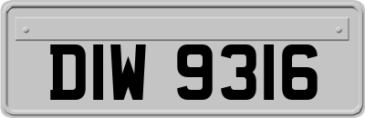 DIW9316