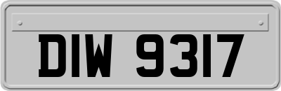 DIW9317