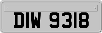 DIW9318