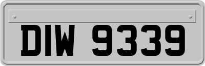 DIW9339