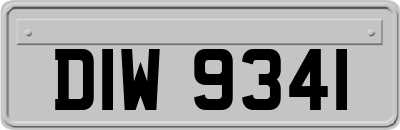 DIW9341