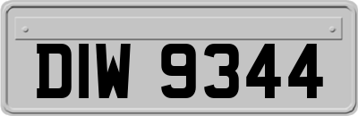 DIW9344