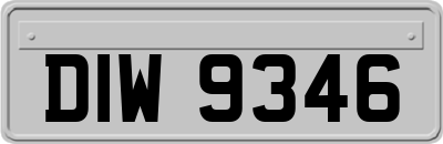 DIW9346
