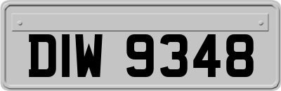 DIW9348
