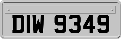 DIW9349