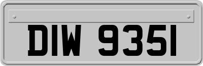 DIW9351