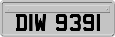 DIW9391