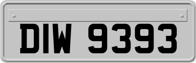 DIW9393