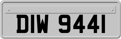 DIW9441