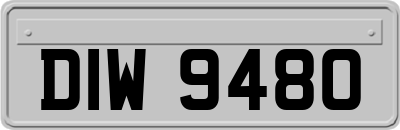 DIW9480