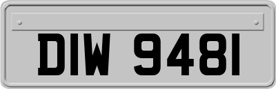 DIW9481