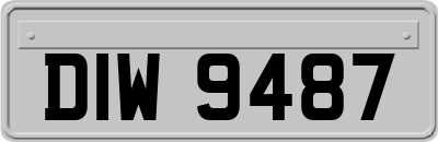 DIW9487
