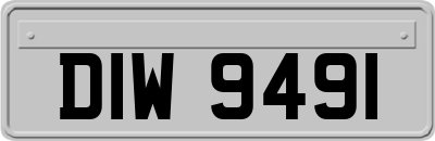 DIW9491