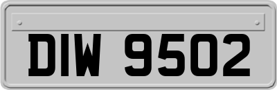 DIW9502