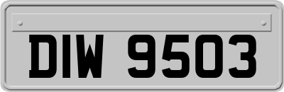DIW9503