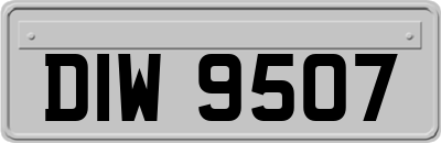 DIW9507