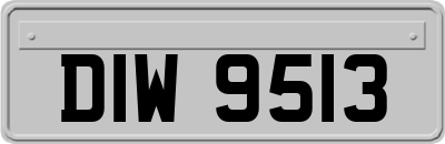 DIW9513