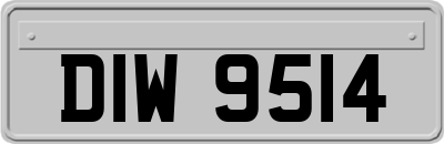 DIW9514