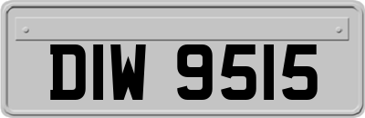DIW9515
