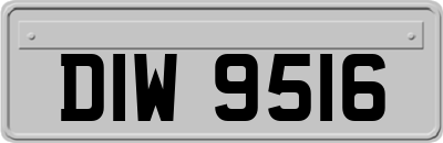 DIW9516