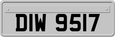DIW9517