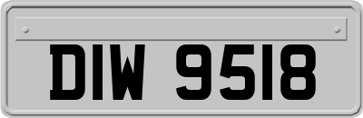 DIW9518