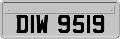 DIW9519
