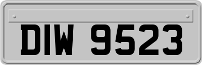 DIW9523