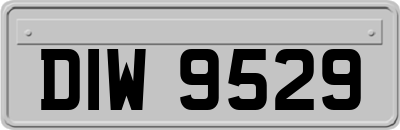 DIW9529