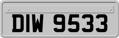 DIW9533
