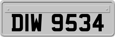 DIW9534